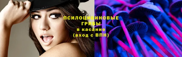 стафф Алексин