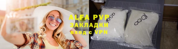 стафф Алексин