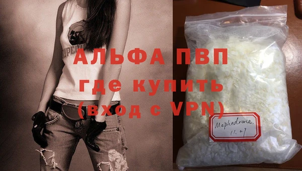 стафф Алексин