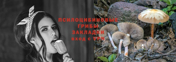 дурь Абаза