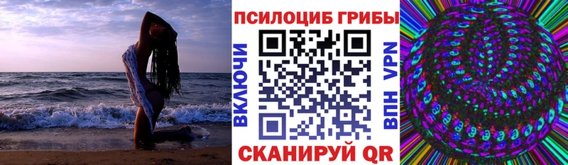Галлюциногенные грибы Psilocybine cubensis  OMG рабочий сайт  Сорочинск  где продают наркотики 